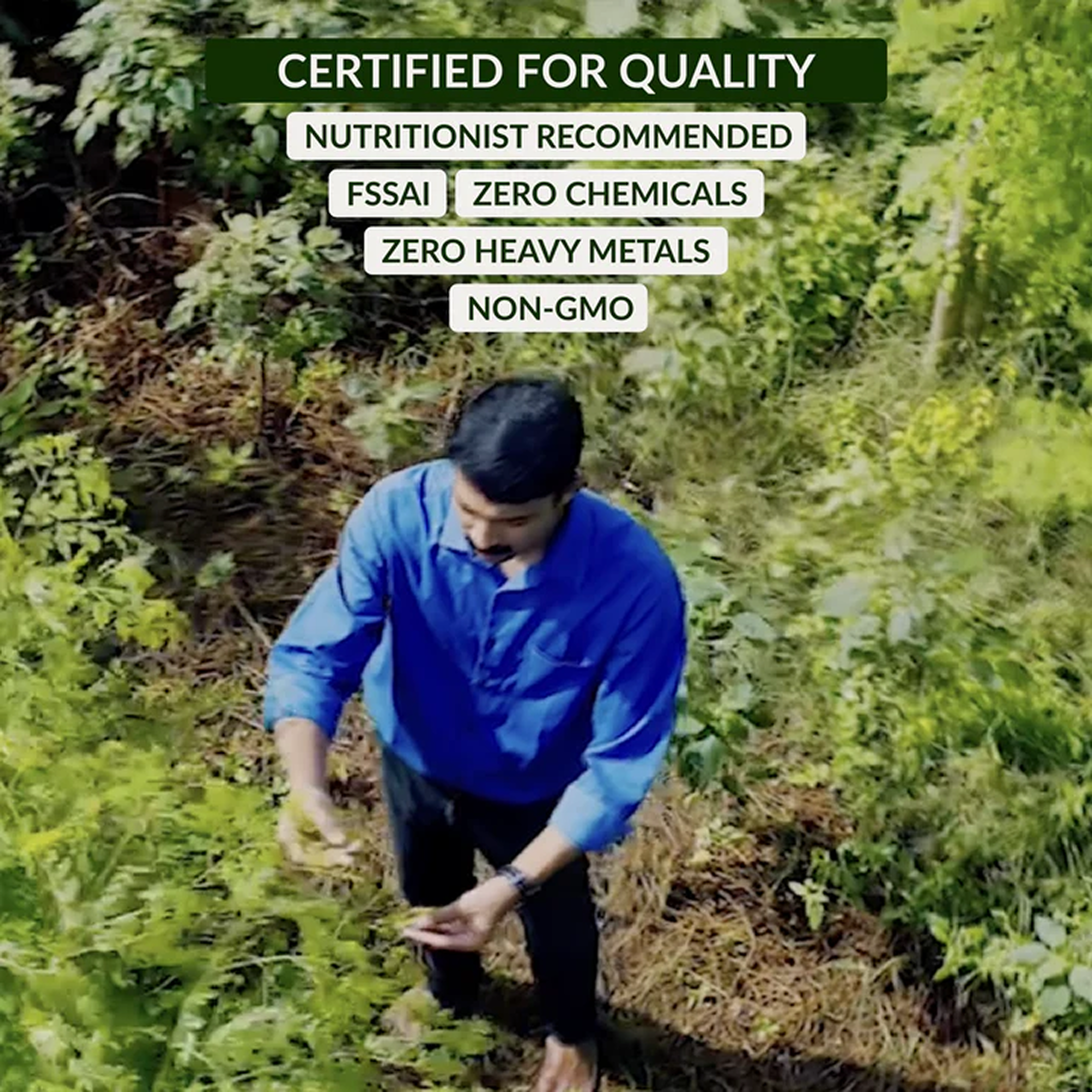 Dip Soup - Moringa Wellness Sachet - Keerai Kadai