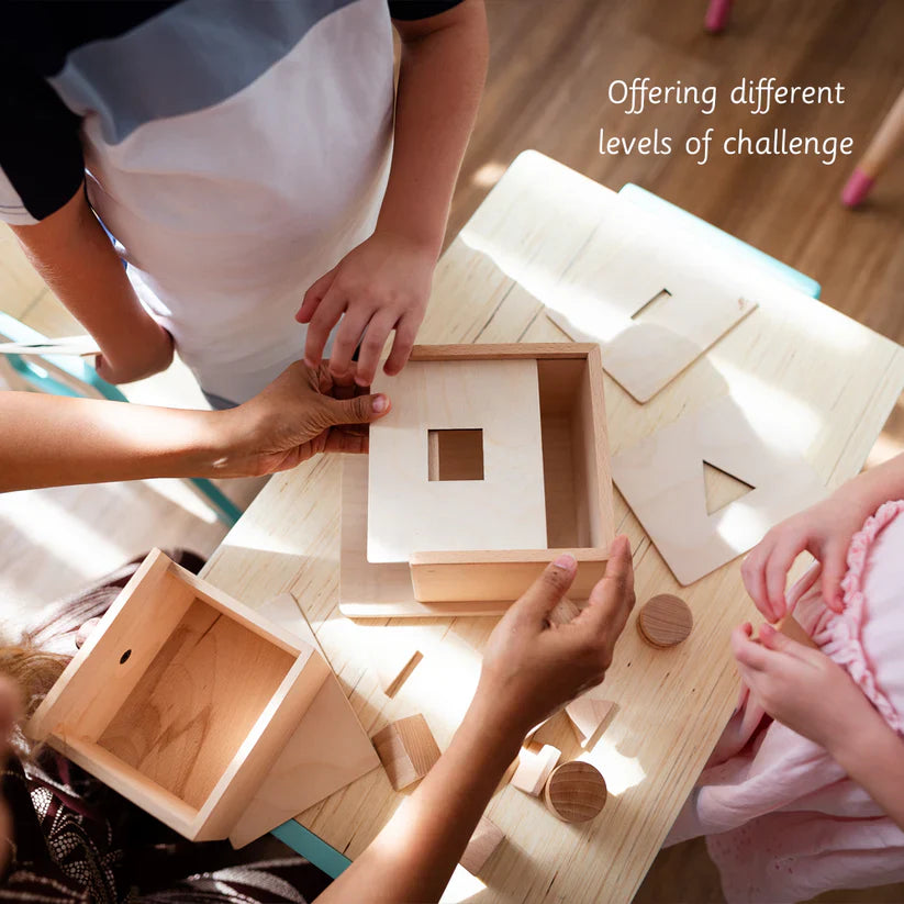 The Ultimate Permanence box set - Ariro toys