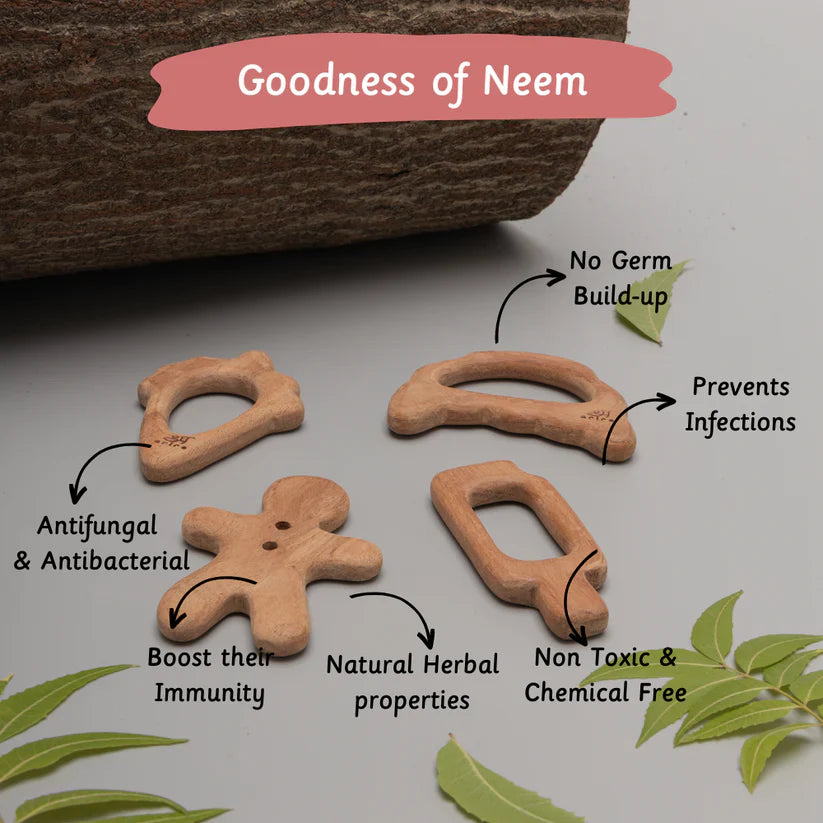 Wooden Teethers - Treats - Ariro Toys