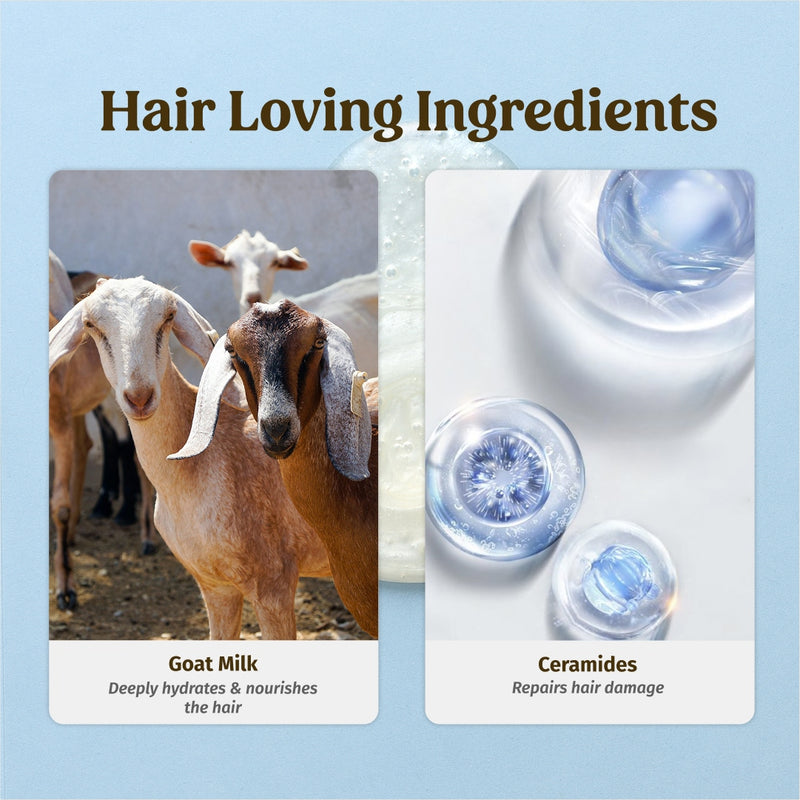 Goat Milk Hair Combo - Vilvah